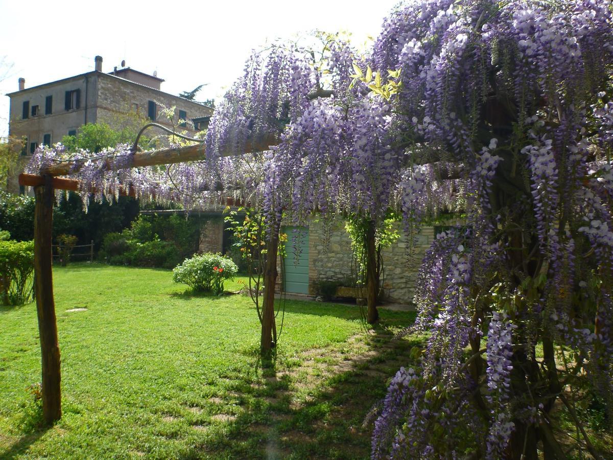 Hotel Bio La Crocetta San Casciano dei Bagni Exteriér fotografie